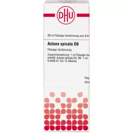 ACTAEA SPICATA D 6 Dilution, 20 ml