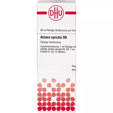 ACTAEA SPICATA D 6 Dilution, 20 ml