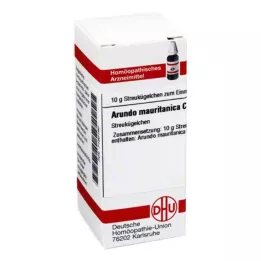ARUNDO mauritanica C 30 Globuli, 10 g