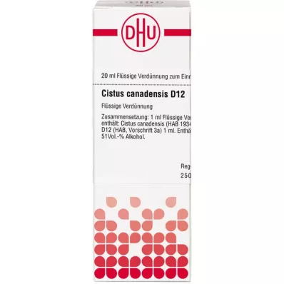 CISTUS CANADENSIS D 12 Dilution, 20 ml