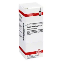 CISTUS CANADENSIS D 12 Dilution, 20 ml