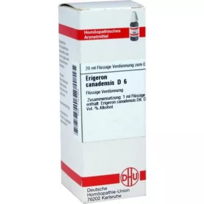 ERIGERON CANADENSIS D 6 Dilution, 20 ml
