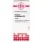 ERIGERON CANADENSIS D 12 Tabletten, 80 St