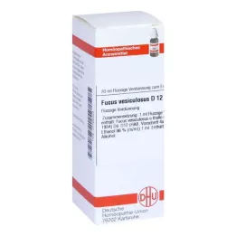 FUCUS VESICULOSUS D 12 Dilution, 20 ml
