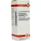 HARPAGOPHYTUM PROCUMBENS C 30 Dilution, 20 ml