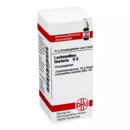 LACHNANTHES tinctoria D 6 Globuli, 10 g