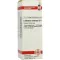 LEONURUS CARDIACA D 4 Dilution, 20 ml