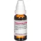 LEONURUS CARDIACA D 4 Dilution, 20 ml