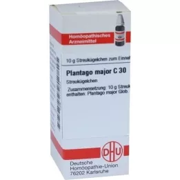 PLANTAGO MAJOR C 30 Globuli, 10 g