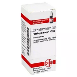 PLANTAGO MAJOR C 30 Globuli, 10 g