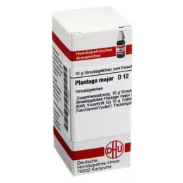 PLANTAGO MAJOR D 12 Globuli, 10 g