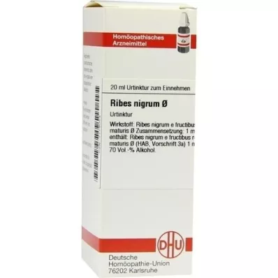 RIBES NIGRUM Urtinktur, 20 ml