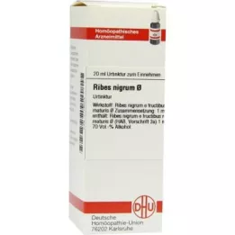 RIBES NIGRUM Urtinktur, 20 ml