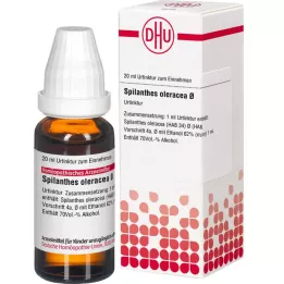 SPILANTHES oleracea Urtinktur D 1, 20 ml