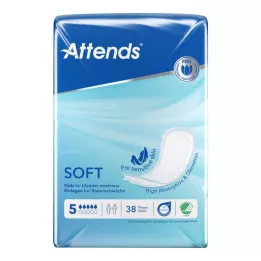 ATTENDS Soft 5, 38 St