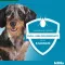 KILTIX Halsband f.kleine Hunde, 1 St