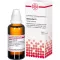 BETULA ALBA D 1 Dilution, 50 ml