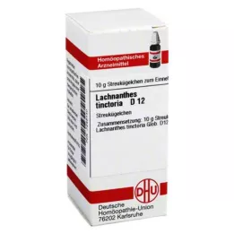 LACHNANTHES tinctoria D 12 Globuli, 10 g