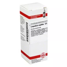 LESPEDEZA CAPITATA D 6 Dilution, 20 ml