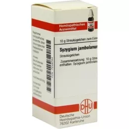 SYZYGIUM JAMBOLANUM D 4 Globuli, 10 g