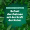 BRONCHOFORTON Salbe, 100 g