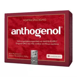 OPC ORIGINAL Masqueliers Anthogenol Kapseln, 90 St