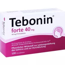 TEBONIN forte 40 mg Filmtabletten, 120 St