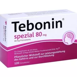 TEBONIN spezial 80 mg Filmtabletten, 120 St