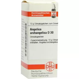 ANGELICA ARCHANGELICA D 30 Globuli, 10 g