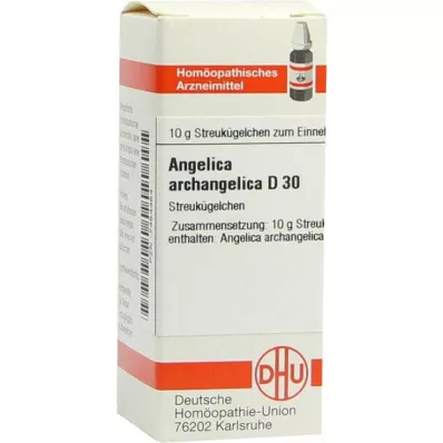 ANGELICA ARCHANGELICA D 30 Globuli, 10 g