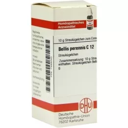 BELLIS PERENNIS C 12 Globuli, 10 g