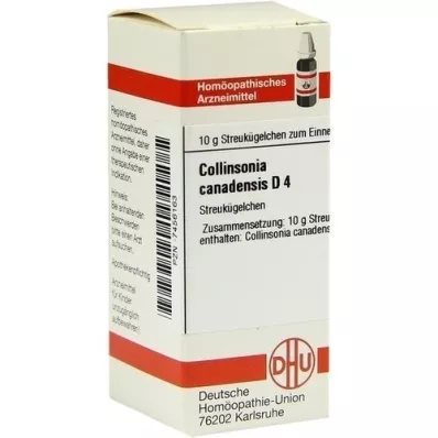 COLLINSONIA CANADENSIS D 4 Globuli, 10 g