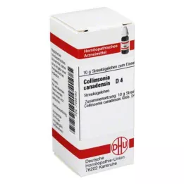 COLLINSONIA CANADENSIS D 4 Globuli, 10 g