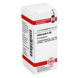 JABORANDI C 30 Globuli, 10 g
