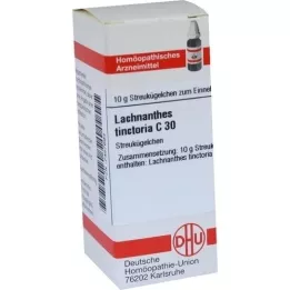 LACHNANTHES tinctoria C 30 Globuli, 10 g