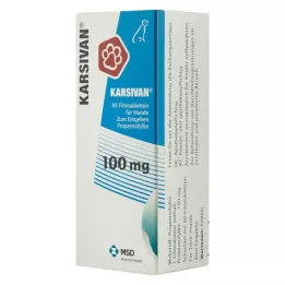KARSIVAN 100 Filmtabletten f.Hunde, 60 St
