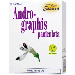 ANDROGRAPHIS paniculata Kapseln, 60 St