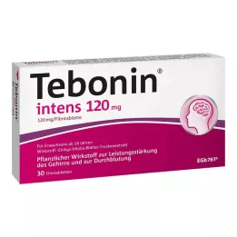 TEBONIN intens 120 mg Filmtabletten, 30 St