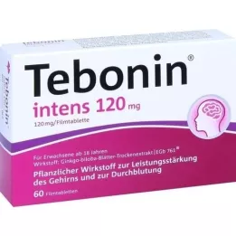 TEBONIN intens 120 mg Filmtabletten, 60 St