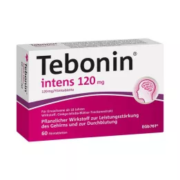 TEBONIN intens 120 mg Filmtabletten, 60 St