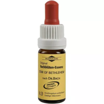Bachblüten Murnauer Tropfen Star of Bethlehem, 20 ml
