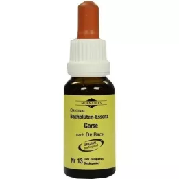 BACHBLÜTEN Murnauer Gorse Tropfen, 20 ml