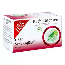 H&amp;S Bachblüten Schülerglück-Tee Filterbeutel, 20X3.0 g