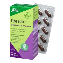 FLORADIX Eisen plus B-Vitamine Kapseln, 40 St