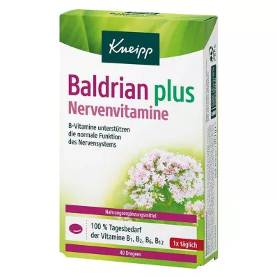Kneipp Baldrian plus Nervenvitamine Dragees, 40 St Kneipp Baldrian plus Nervenvitamine Dragees, 40 St