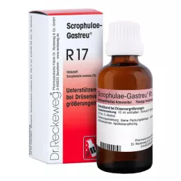 SCROPHULAE-Gastreu R17 Mischung, 50 ml