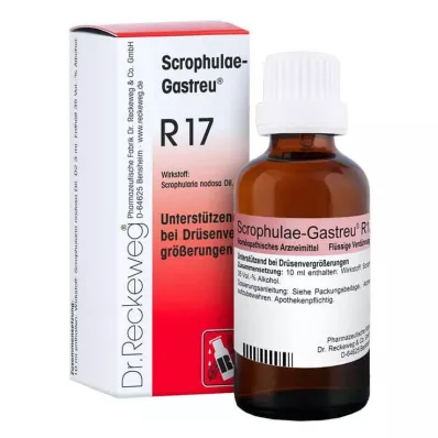 Scrophulae Gastreu R 17 Tropfen zum Einnehmen, 50 ml Scrophulae Gastreu R 17 Tropfen zum Einnehmen, 50 ml