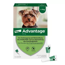 ADVANTAGE 40 Lösung f.Hunde bis 4 kg, 4 St