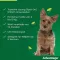 ADVANTAGE 100 Lösung f.Hunde 4-10 kg, 4 St