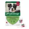 ADVANTAGE 250 Lösung f.Hunde 10-25 kg, 4 St